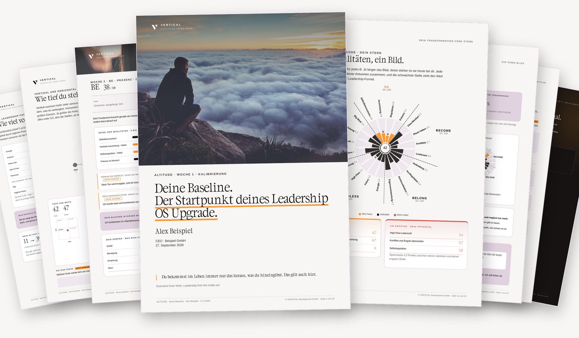 Beispielseiten des ALTITUDE-Reports: Cover, Transformation Code Stern, Auf einen Blick, Growth Map, FÜHRUNGSKRAFT und Plan